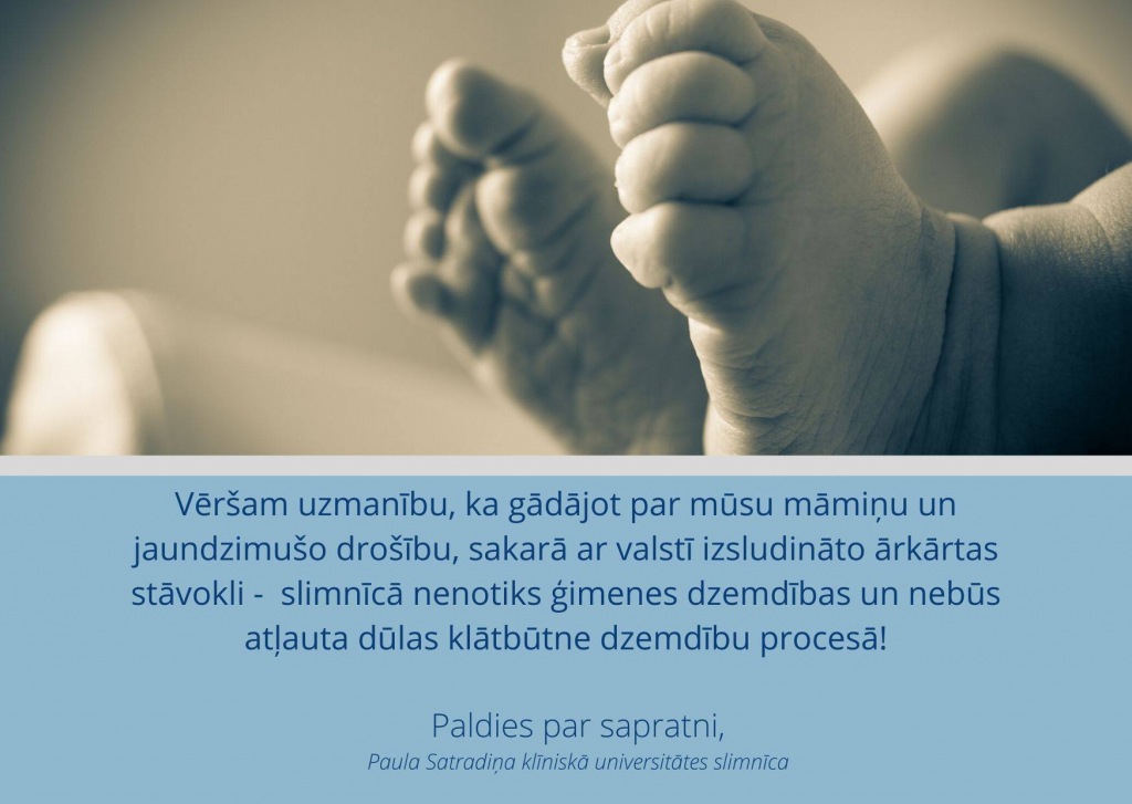 Dzemdibas_weblapai.jpg