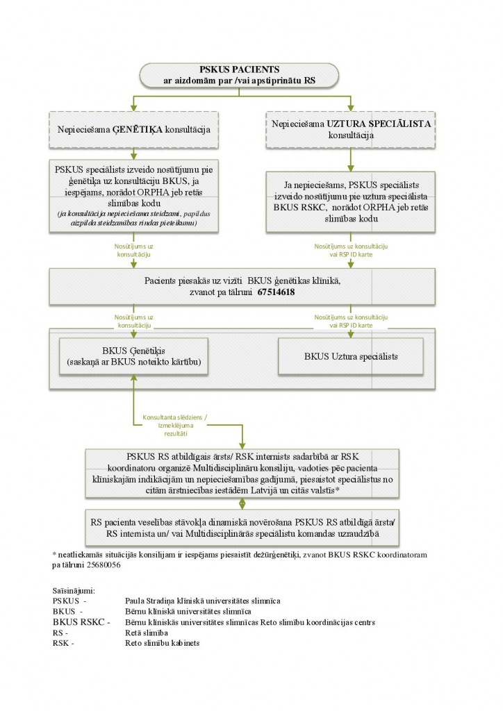 Infografika par RS mājas lapai-page-001.jpg