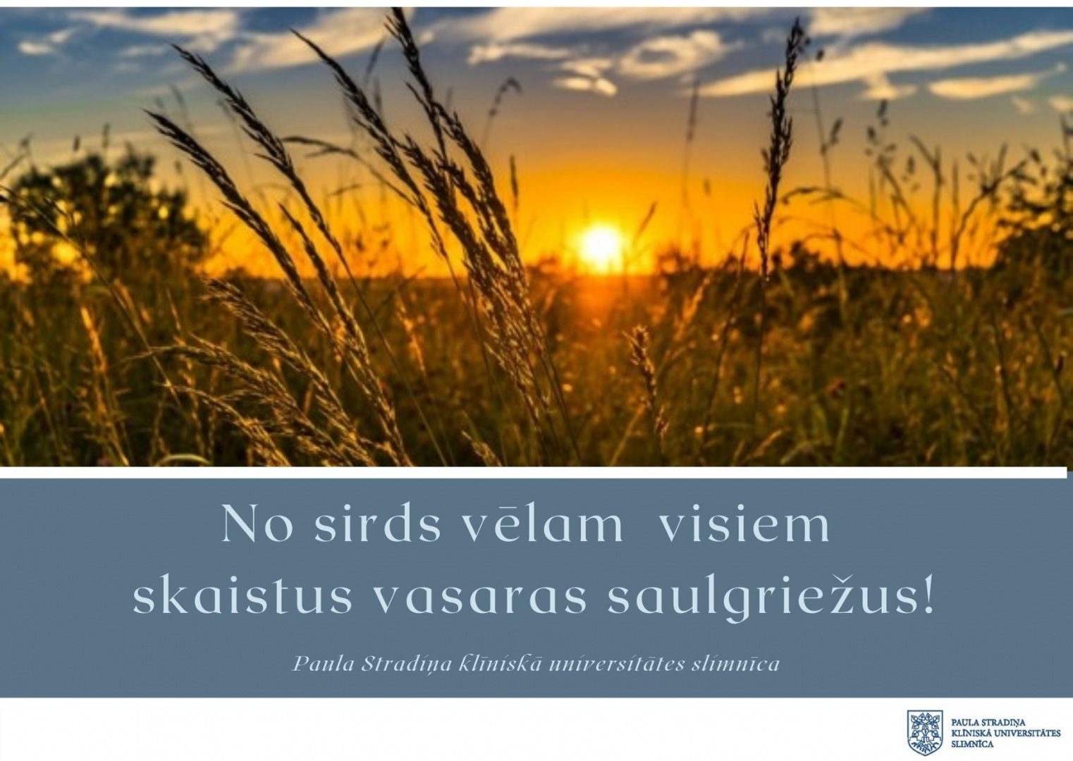 Vēlam veselīgus un skaistus svētkus!