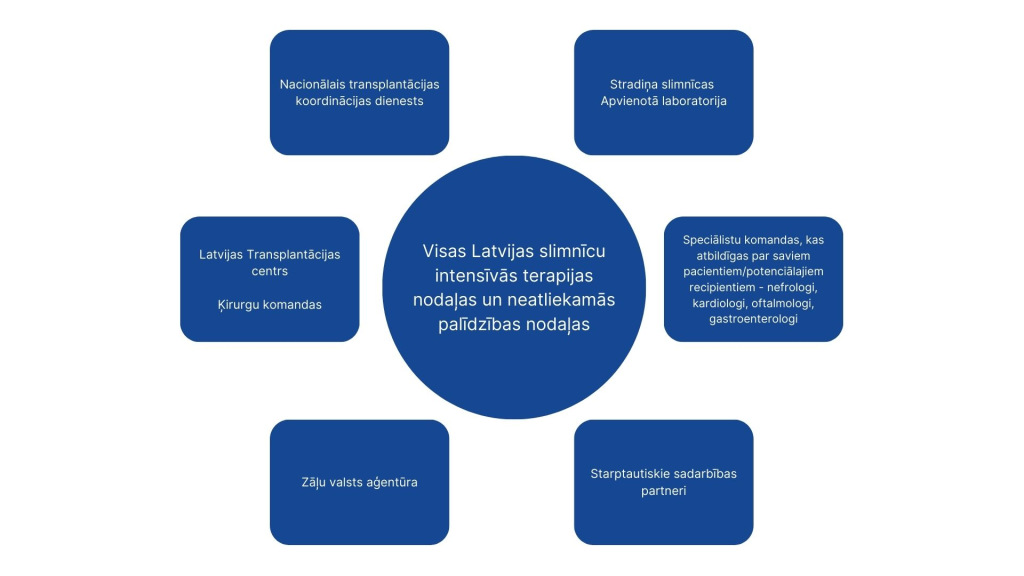 Transplantācijas procesa komandas