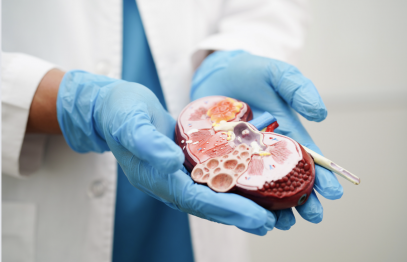 Izglītošanās ceļš uz dzīvības glābšanu: Stradiņa slimnīca kliedē mītus par orgānu ziedošanu un transplantāciju