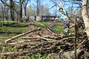 Lielā talka Stradiņa slimnīcā 21.04.2018.